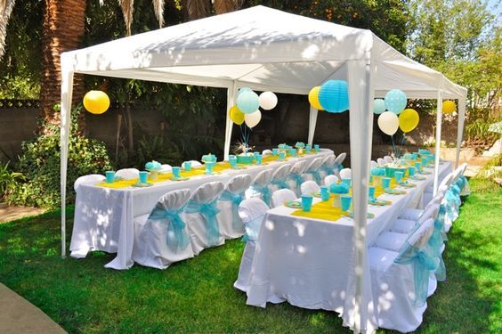 Canopy For Party By Green Flag Tents